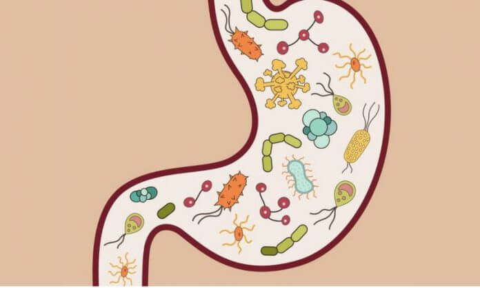 Parazita testtisztító rendszer Honnan jönnek a méreganyagok